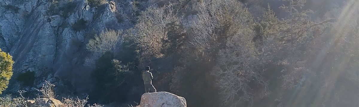 banner image