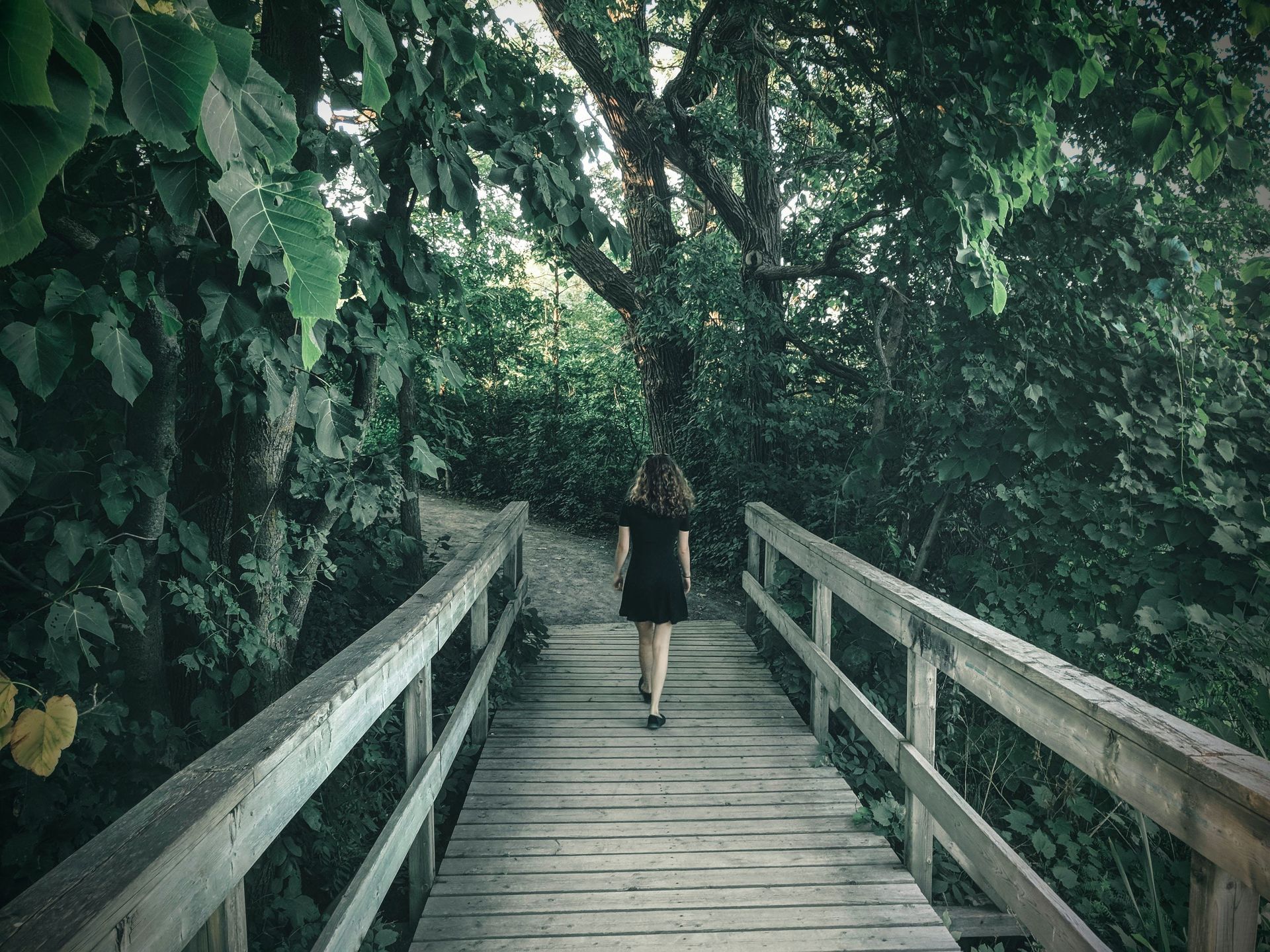 What Is Trauma Therapy and How Does It Help You Heal?