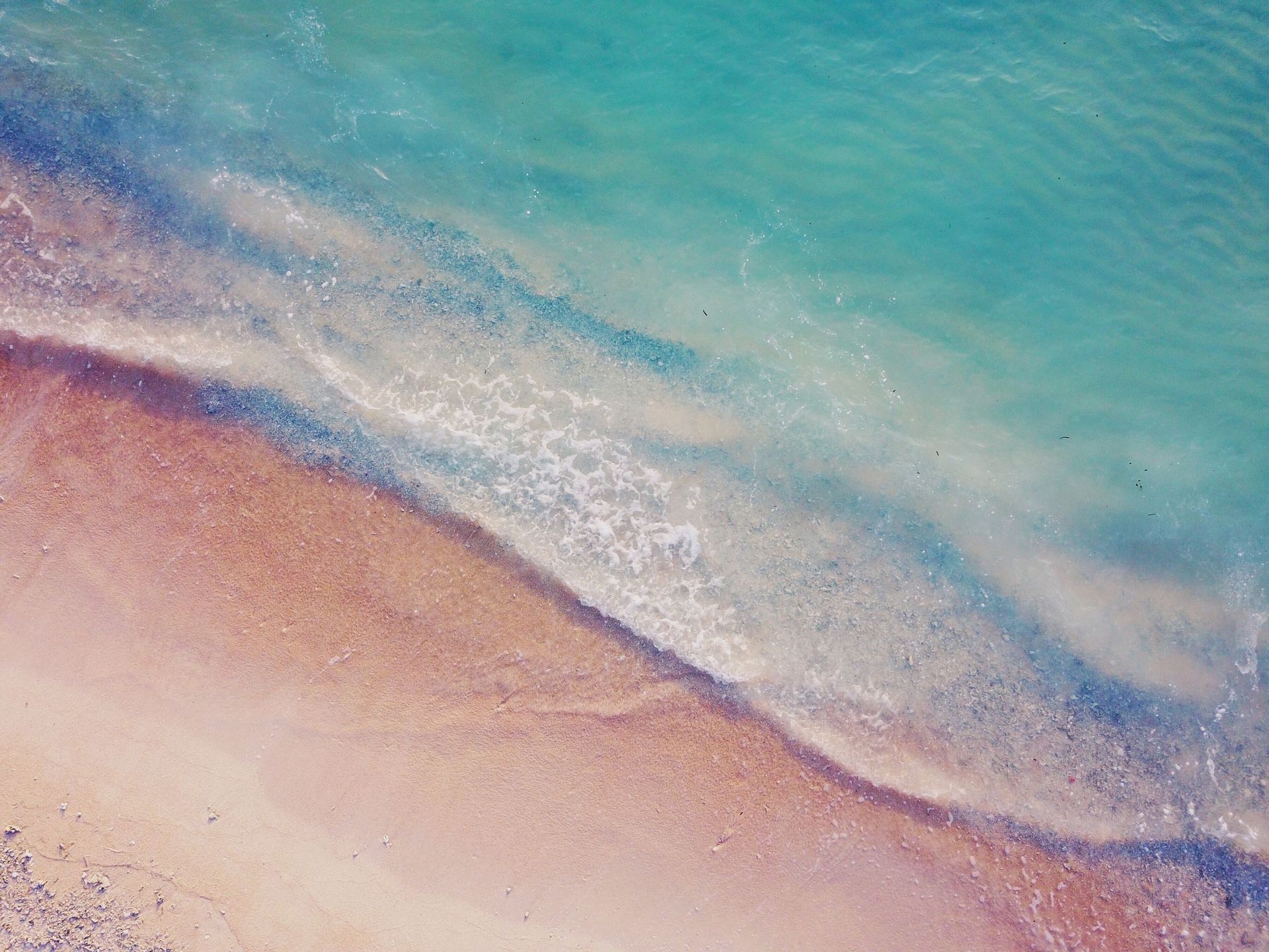 banner image