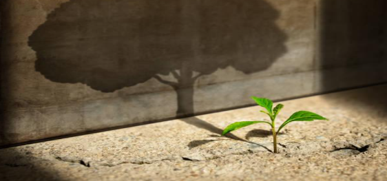 Healing Trauma with EMDR