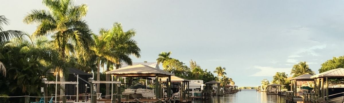 banner image