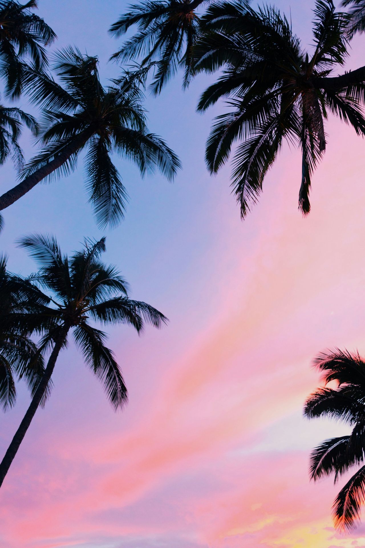 banner image