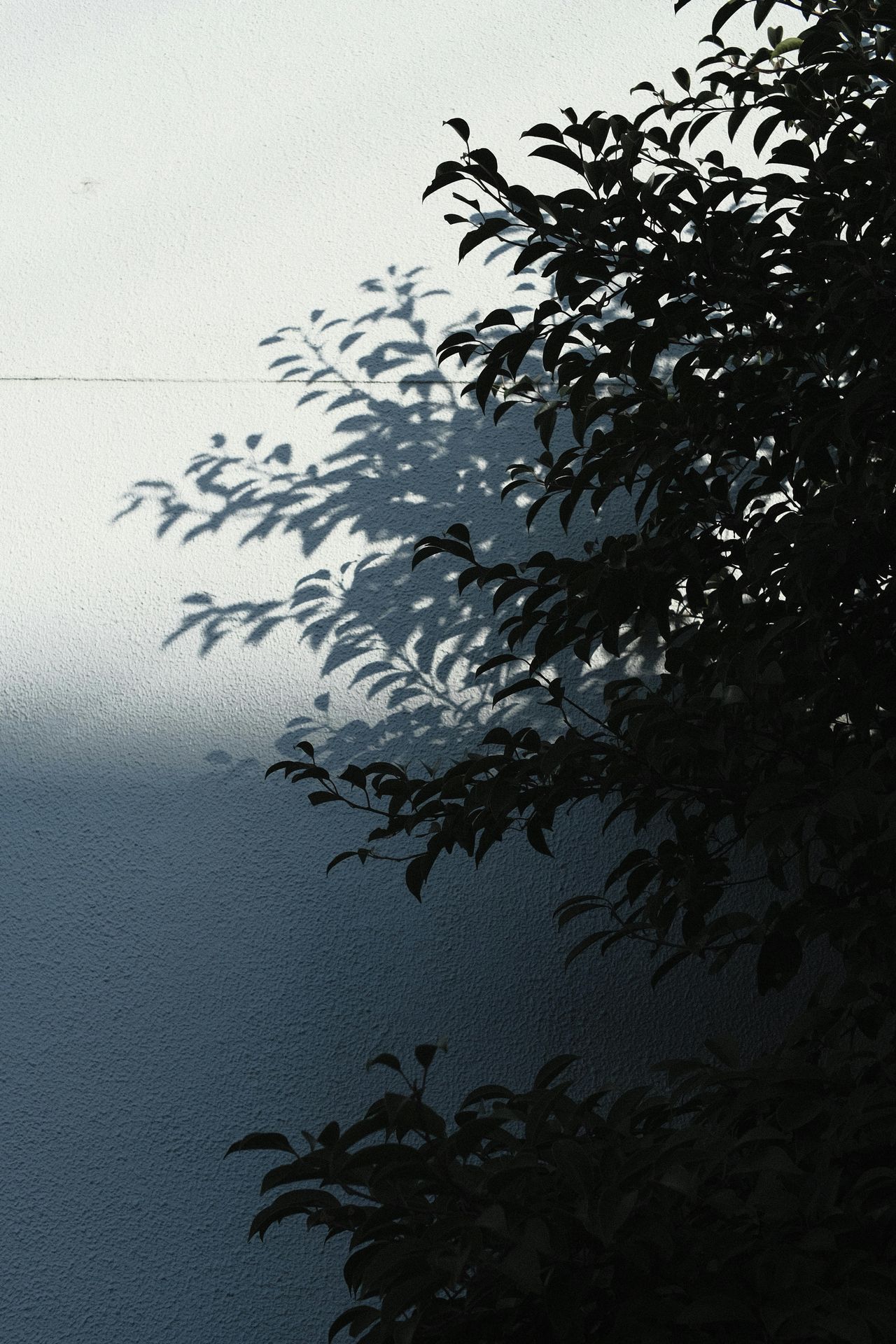 banner image