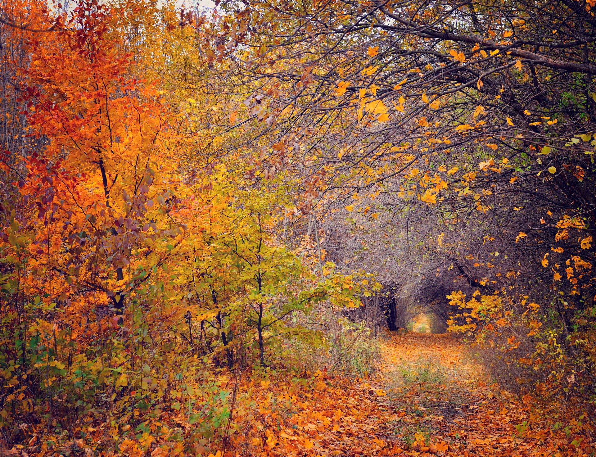 Transition, Change and Acceptance