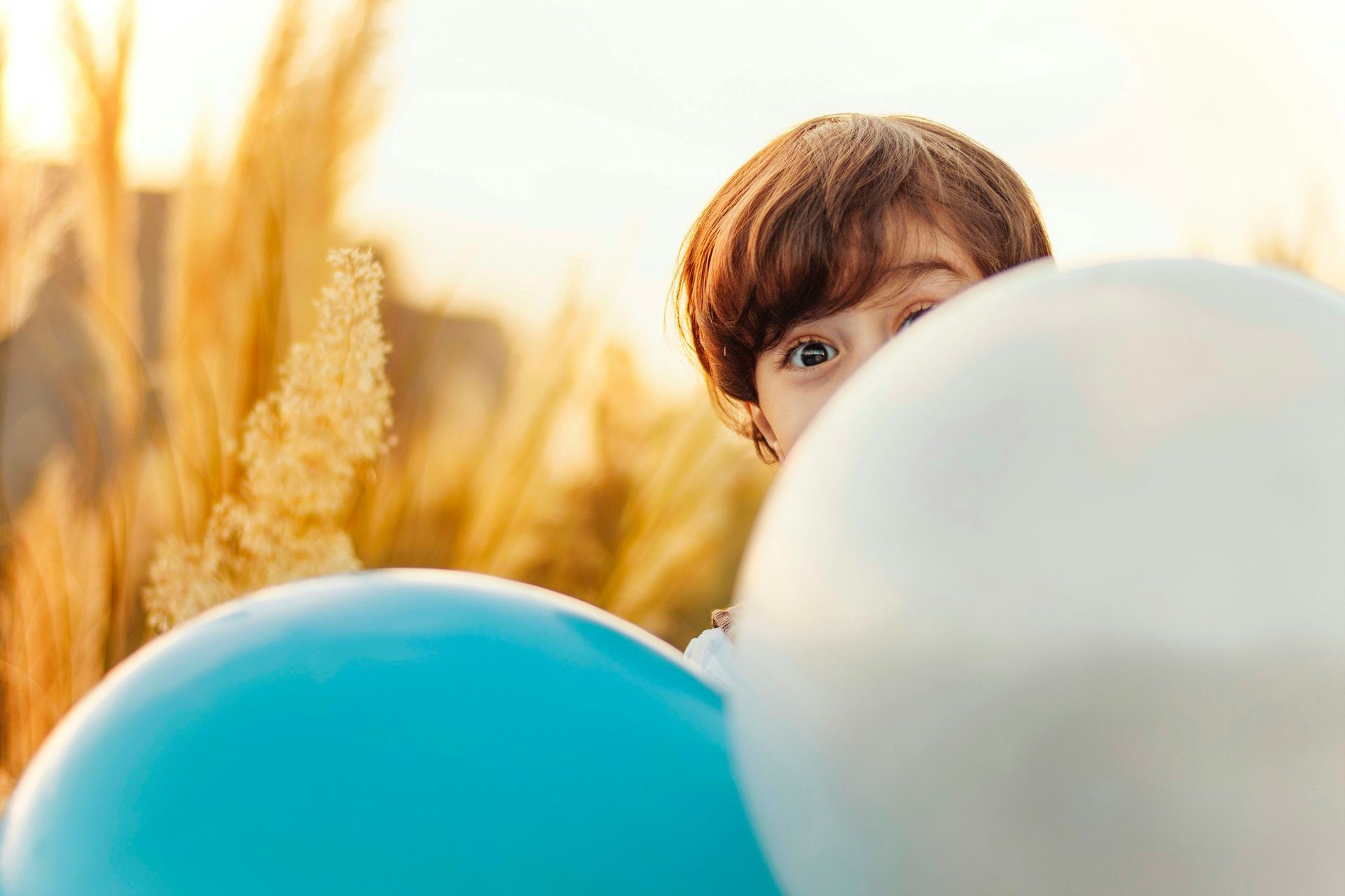 banner image
