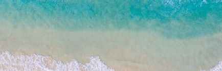 banner image