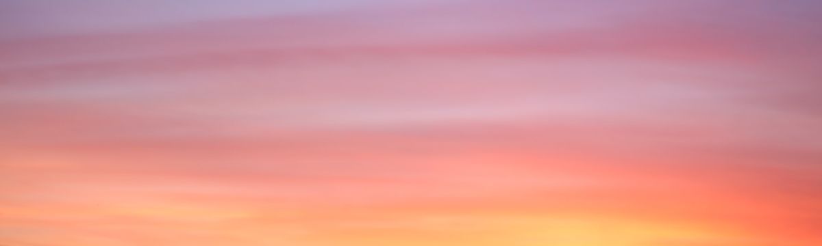 banner image