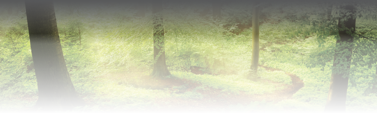 banner image