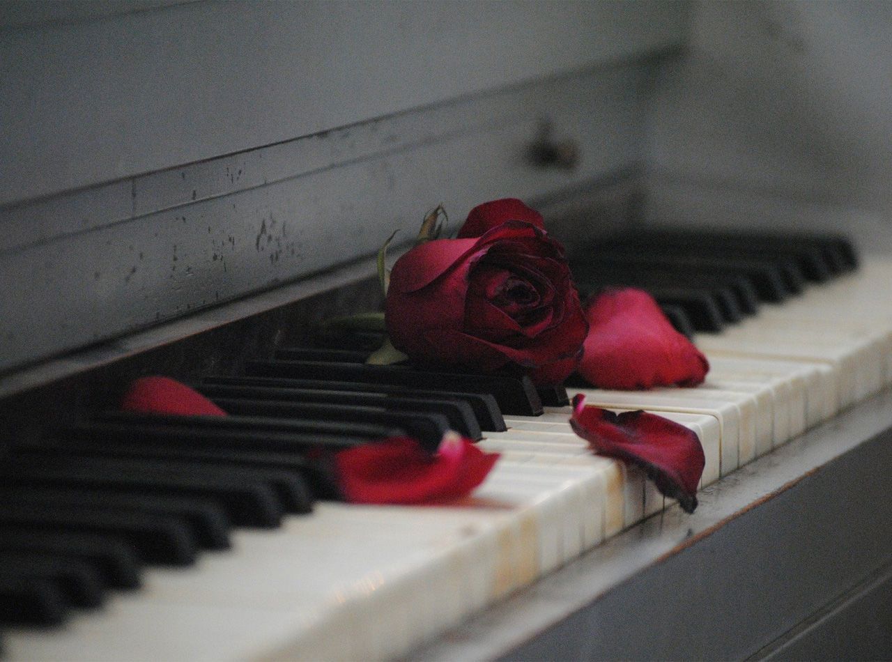 How to Deal with Loneliness Around Valentine’s Day