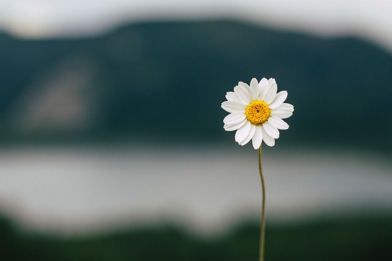 The Power of Vulnerability