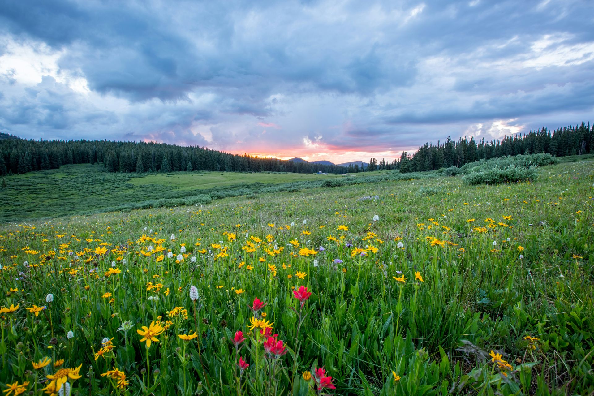 How Brainspotting Helps Access Deep Emotional Healing