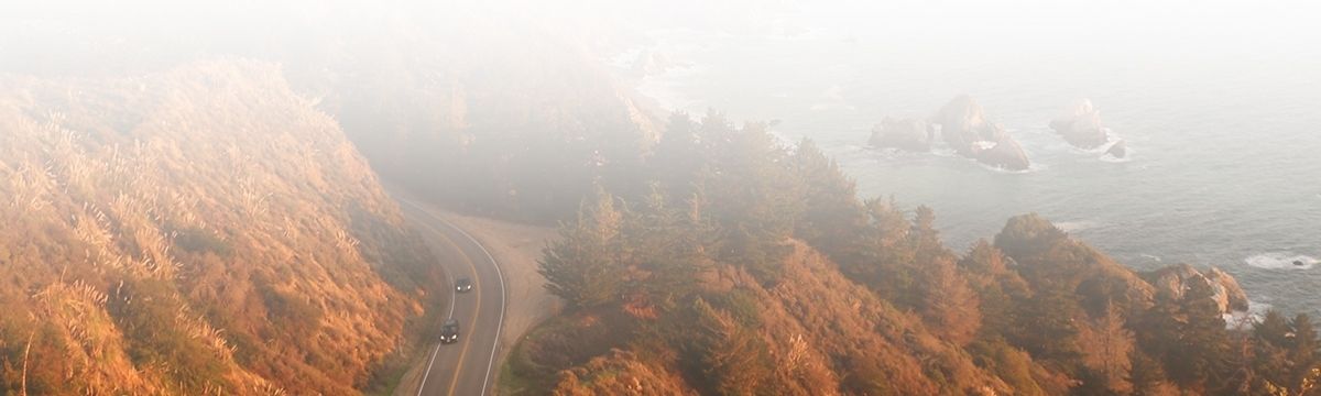 banner image