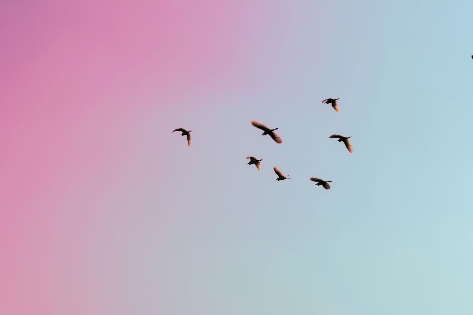 banner image