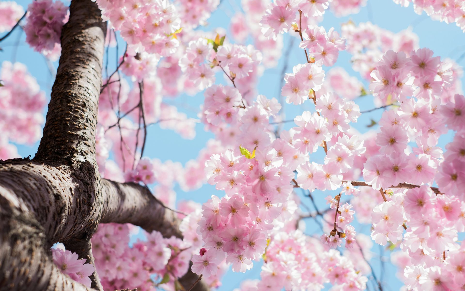 banner image