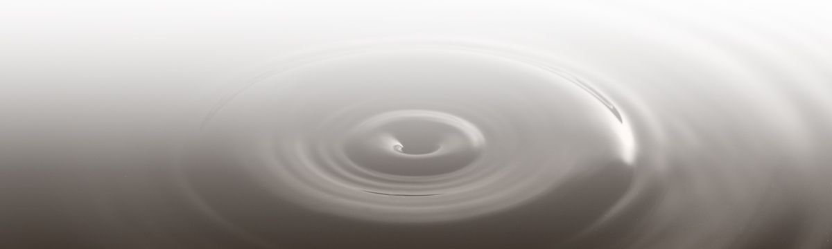 banner image
