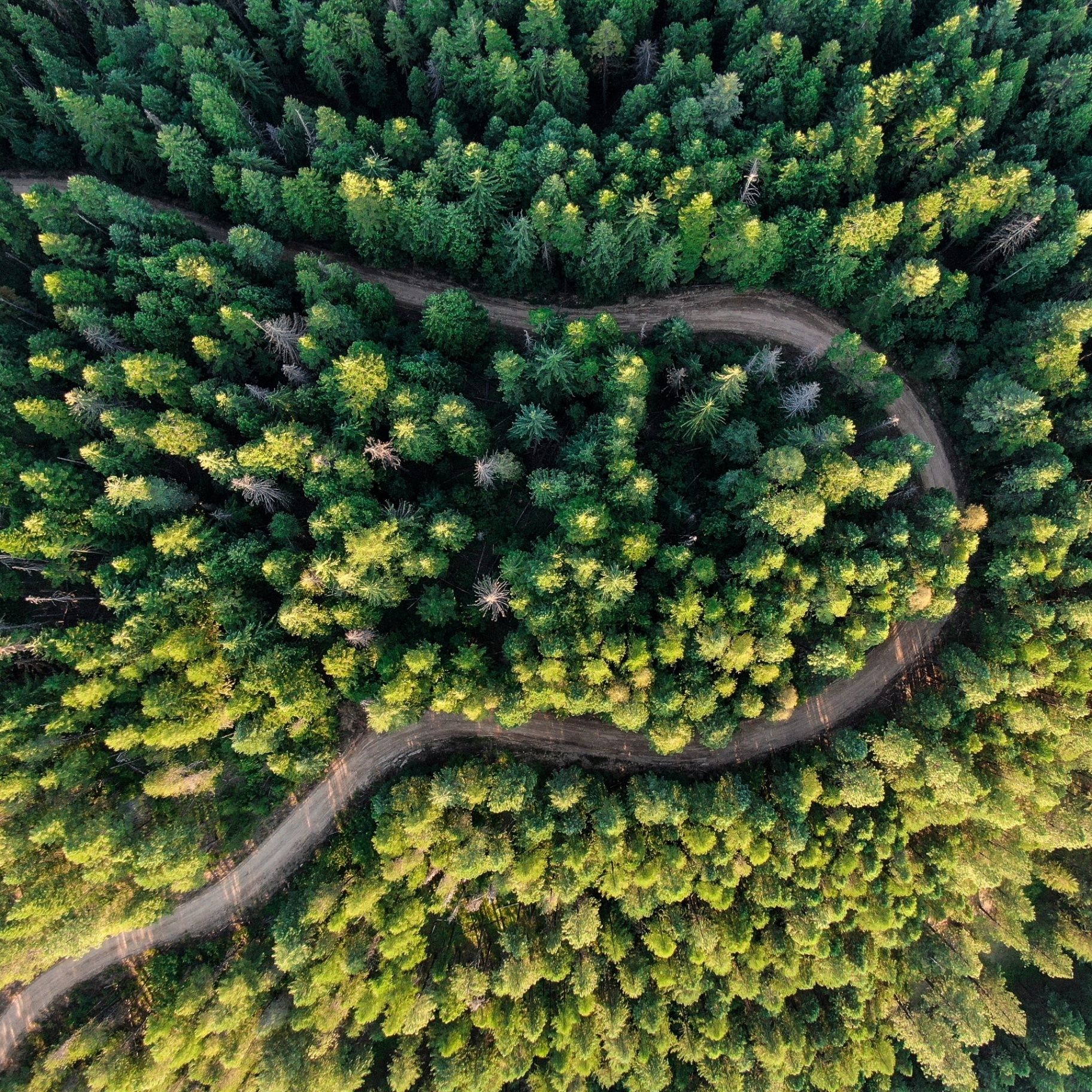 Frequently Asked Questions 