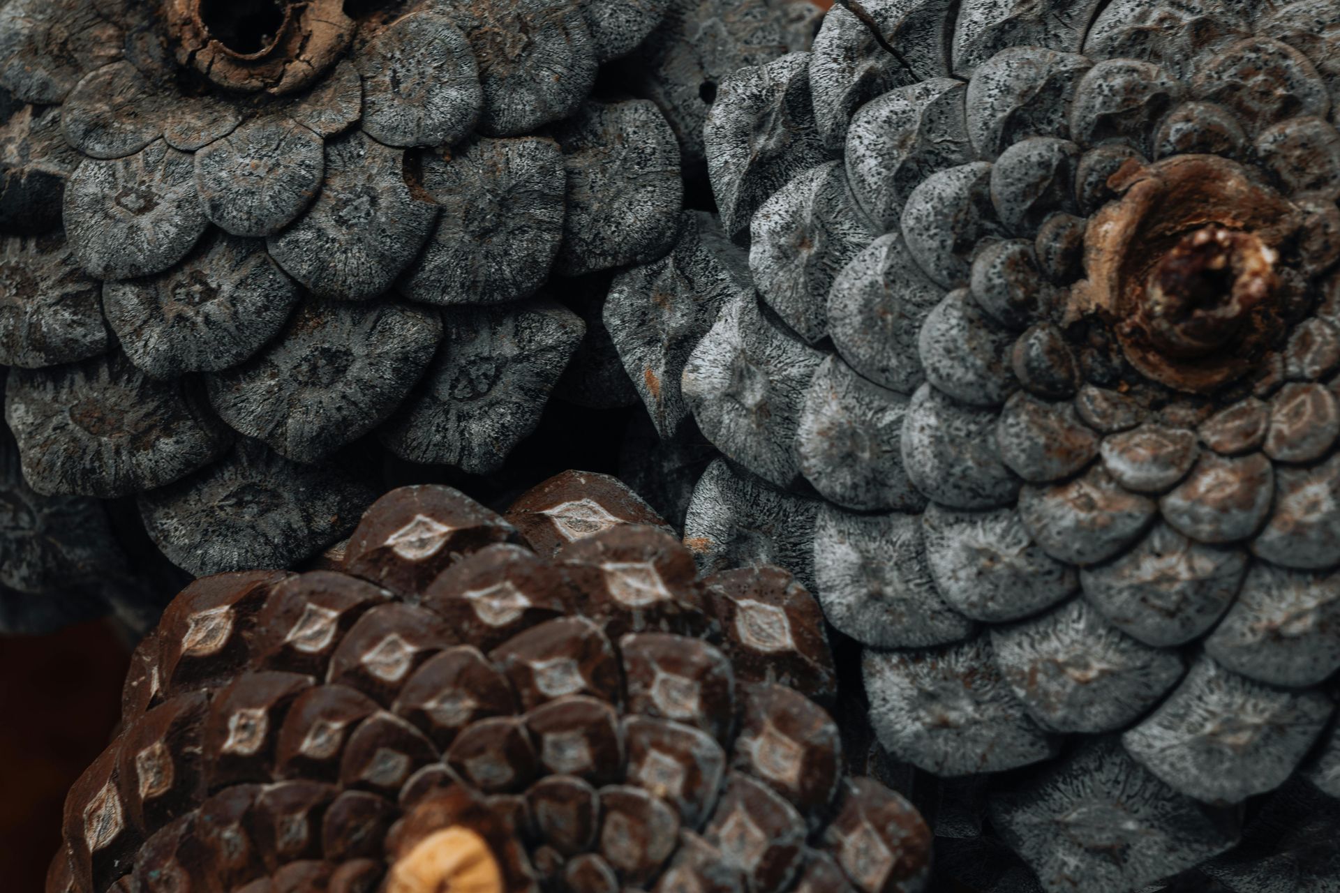 banner image