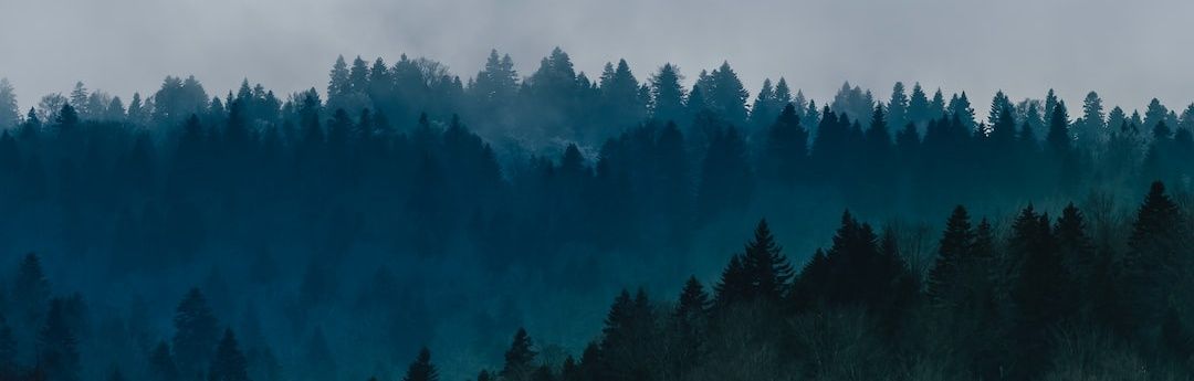 banner image
