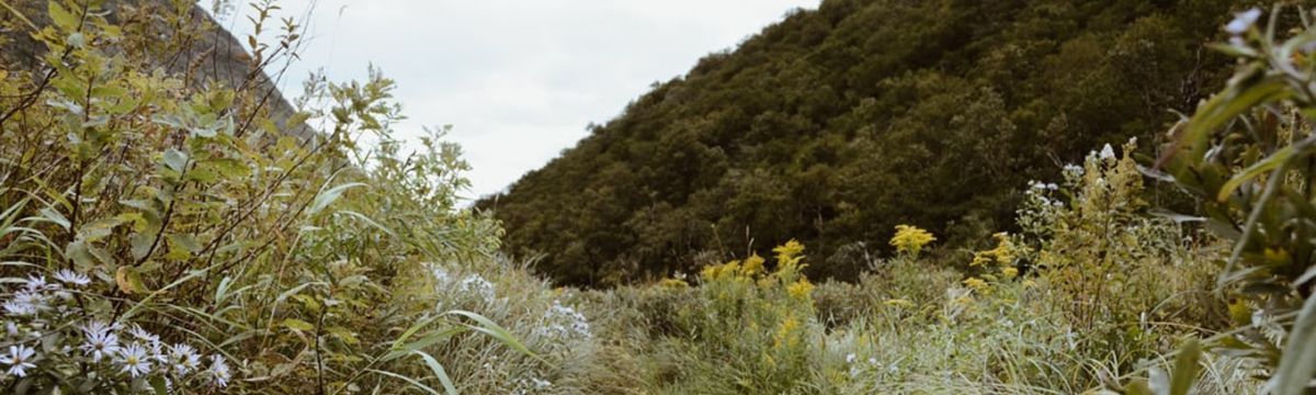 banner image