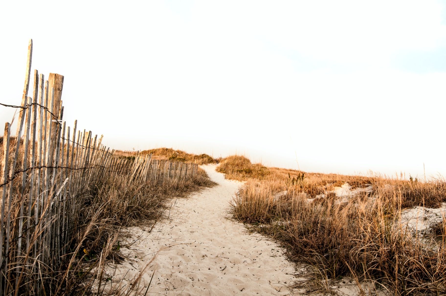 A Research-Based Path: Why I Apply the Gottman Method to My Counseling