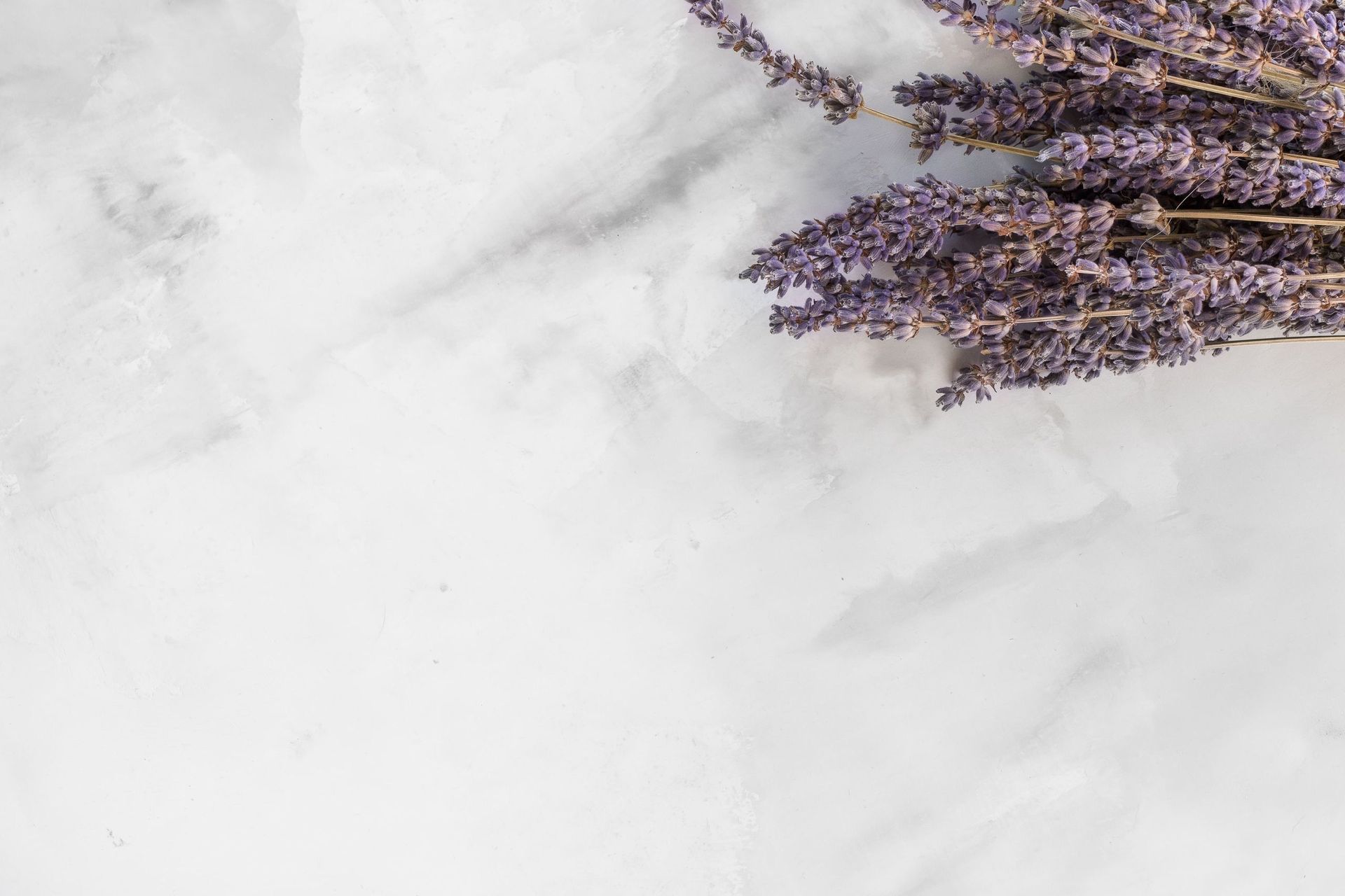 banner image