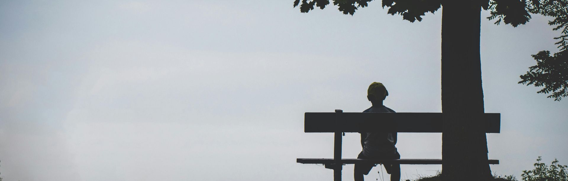 banner image