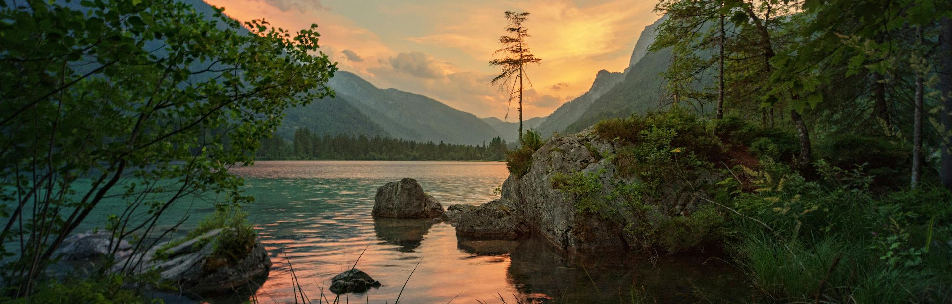 banner image