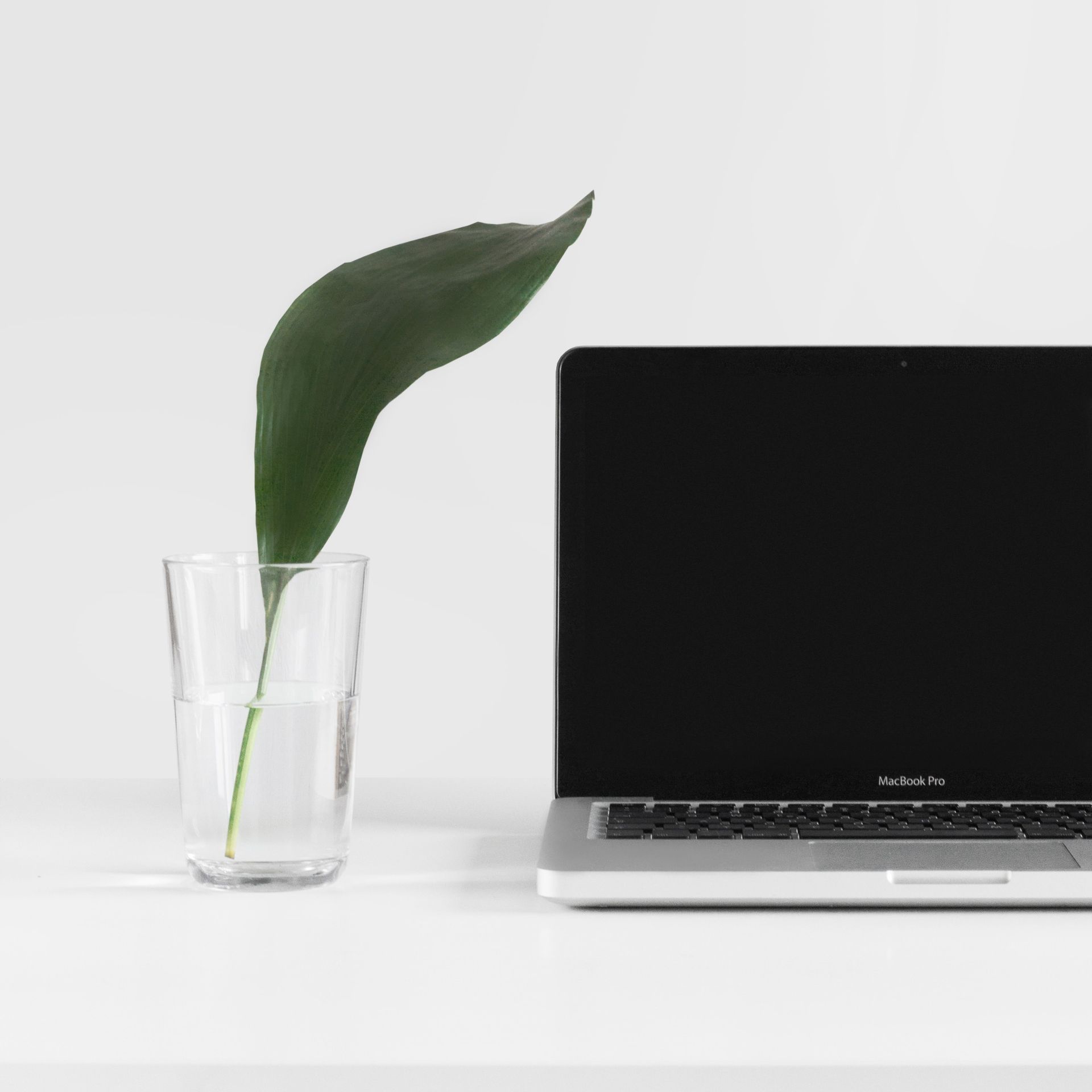 Online Counseling