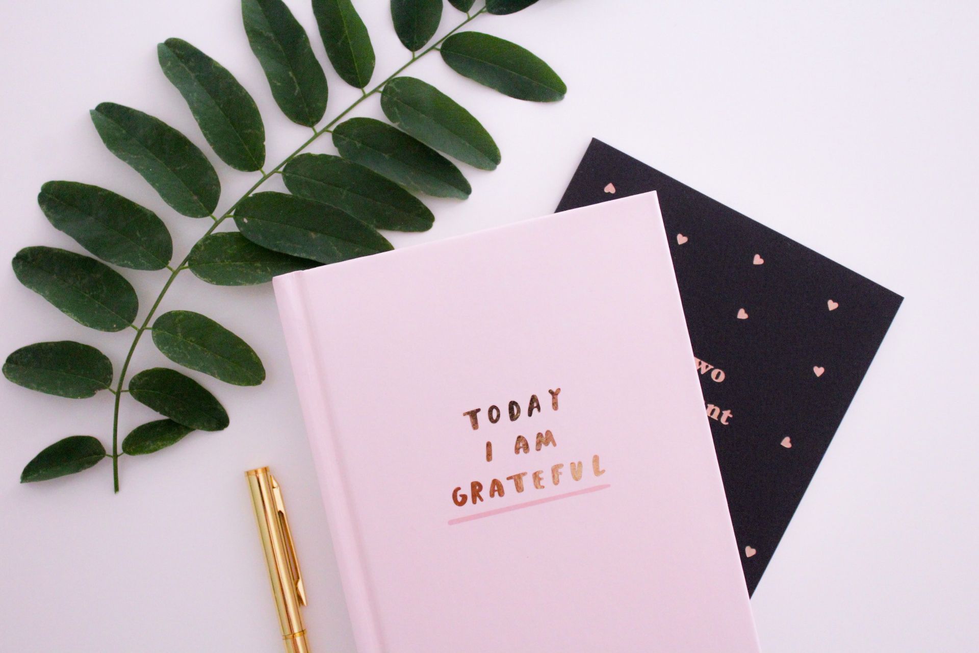 4 Journaling Alternatives