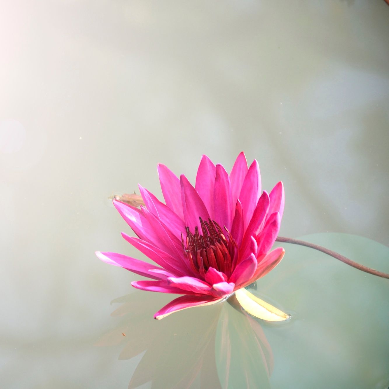 Mindfulness