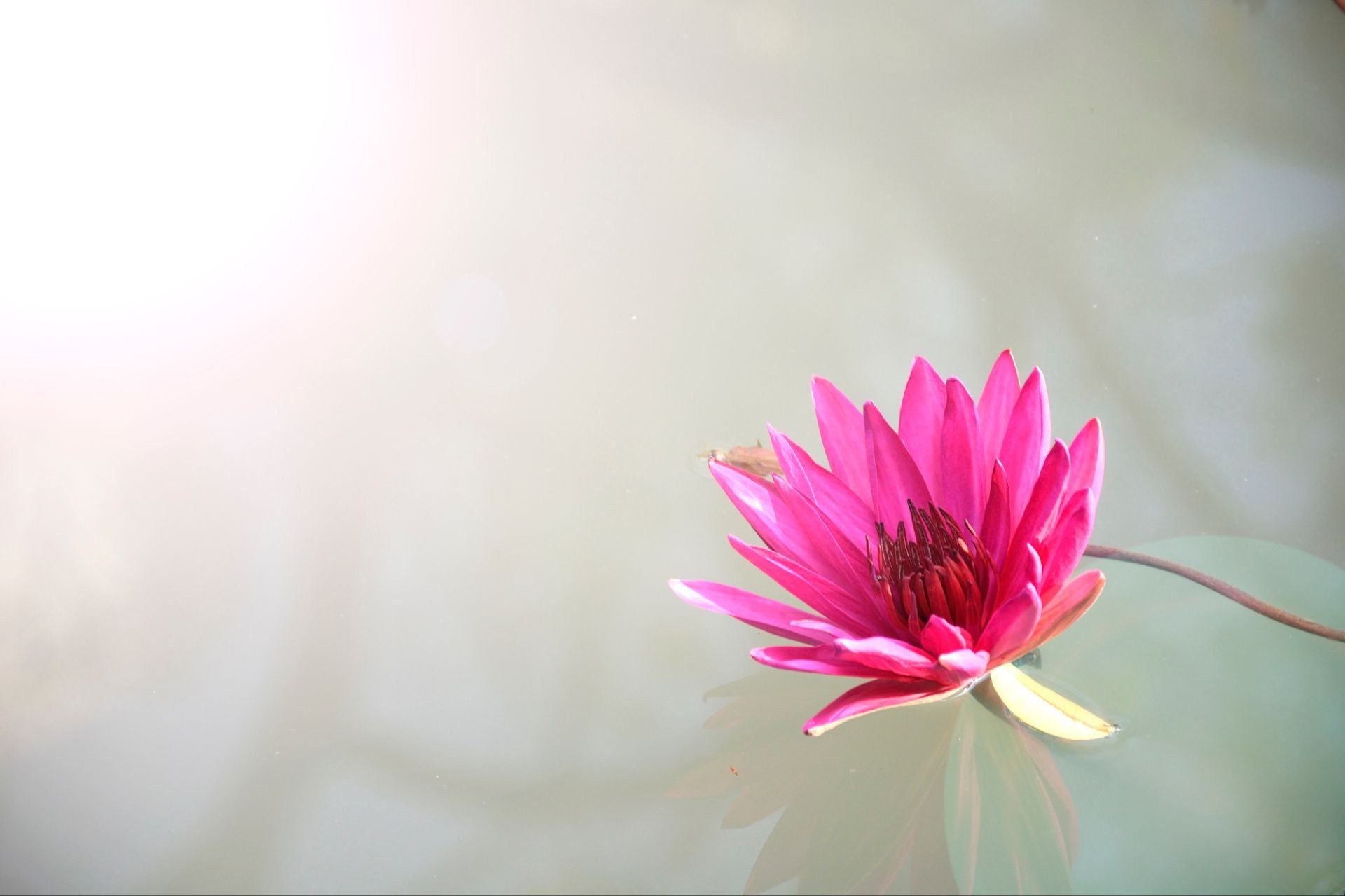 30 Day Mental Wellness Challenge