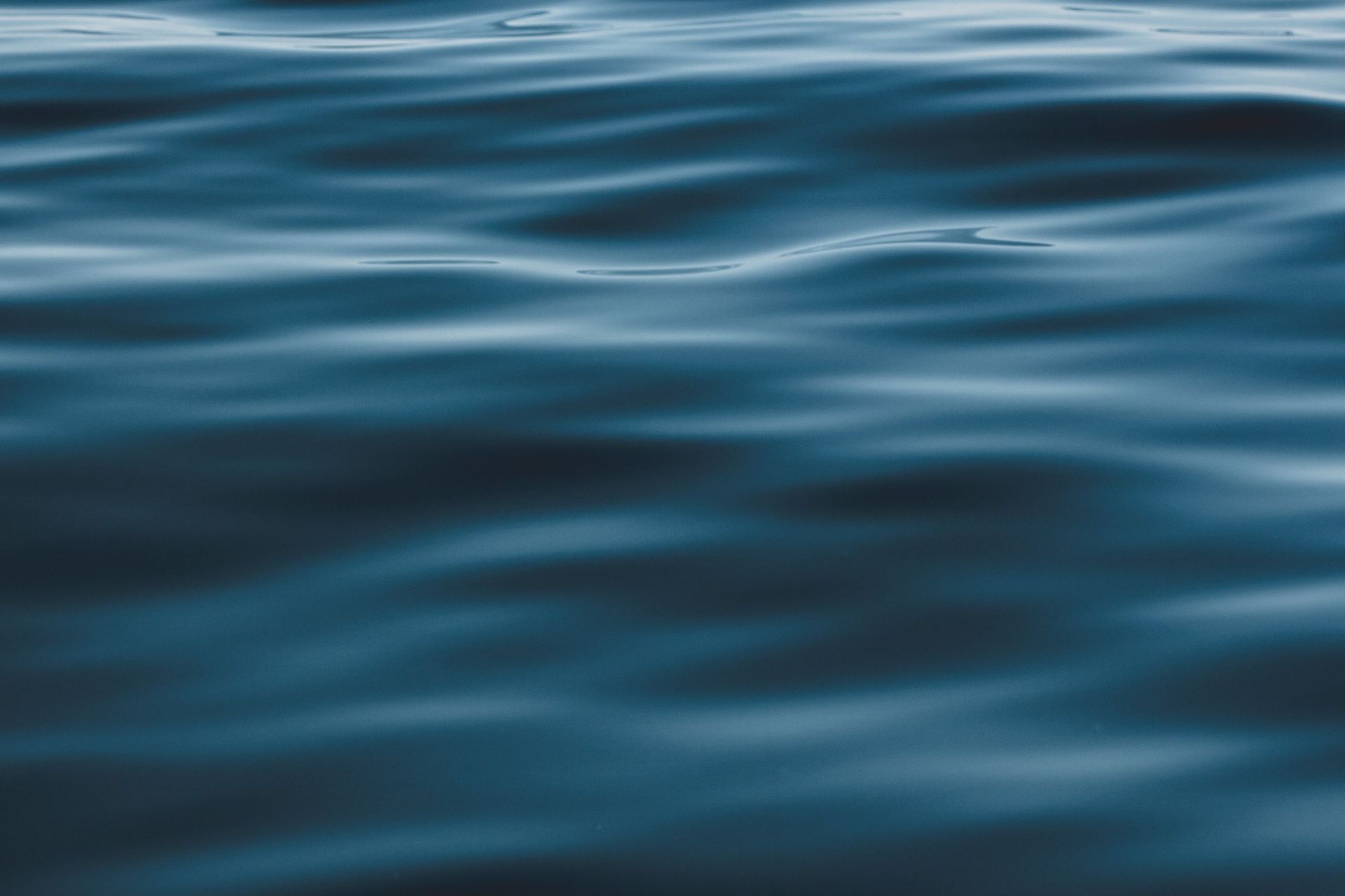 banner image