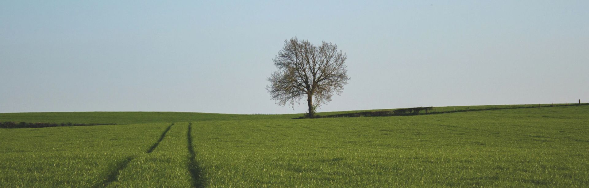 banner image