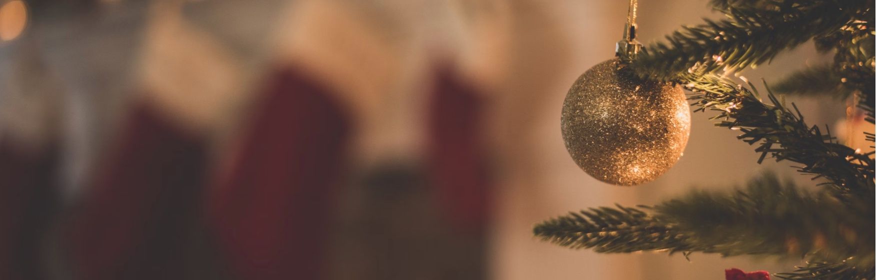 banner image