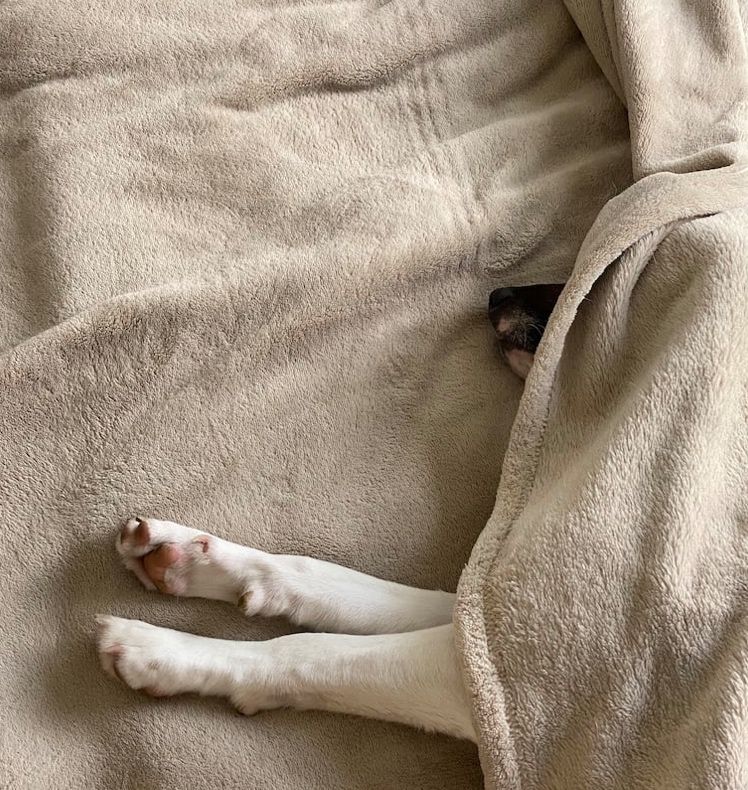 decompress holidays trauma attachment