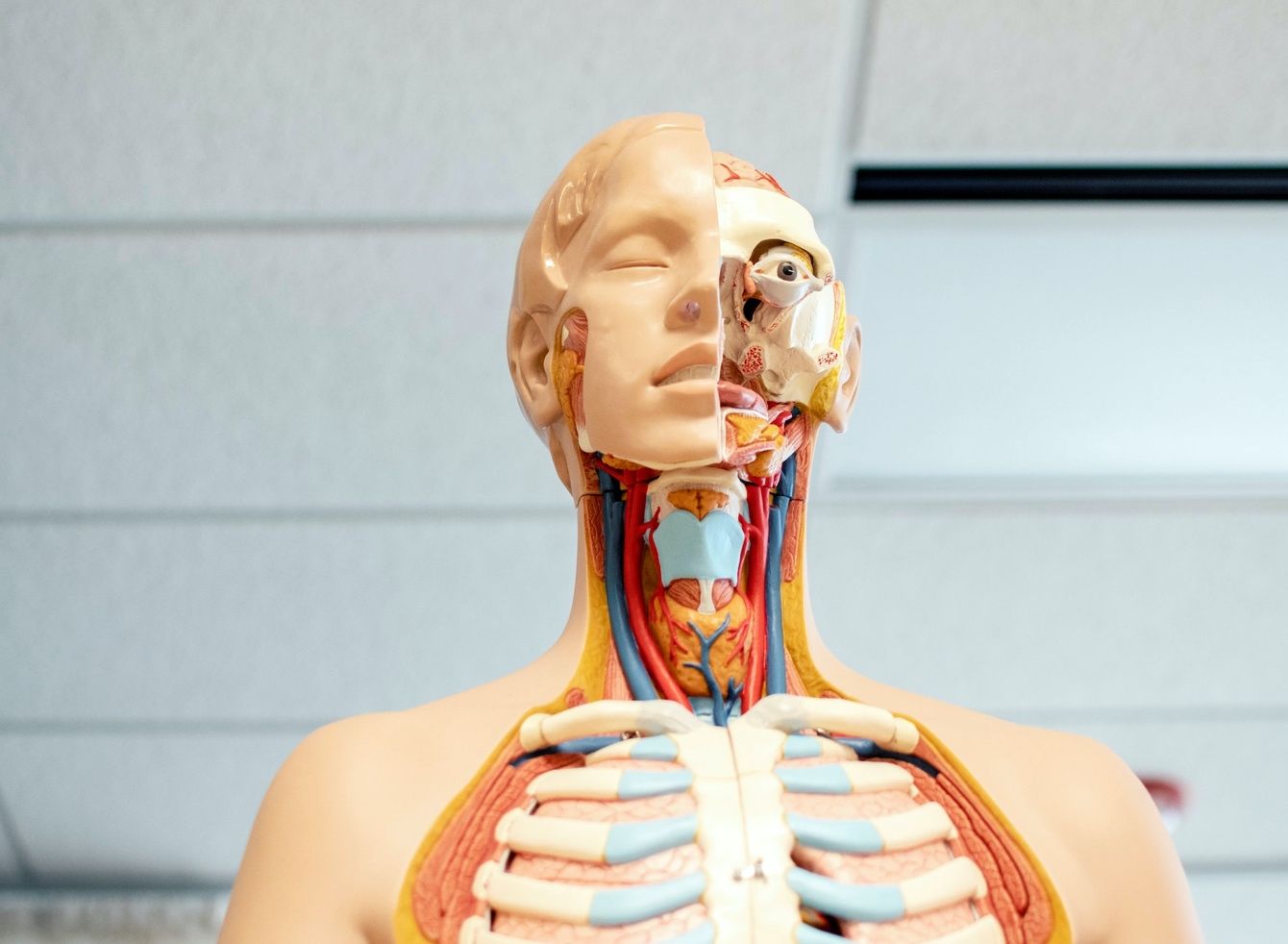 How to Heal & Balance Your Nervous System