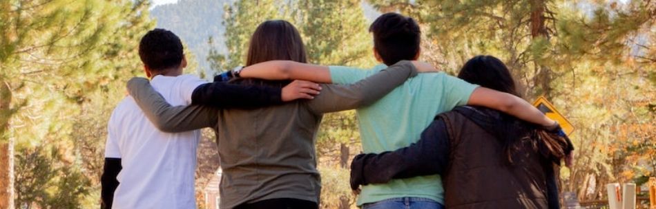 banner image