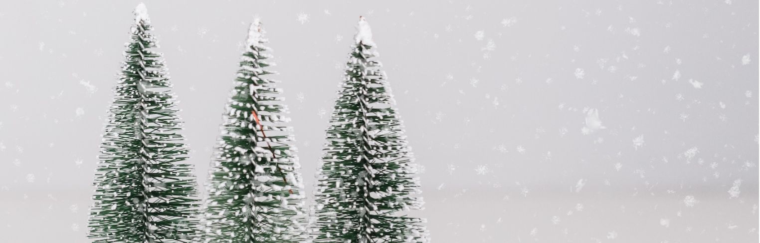 banner image