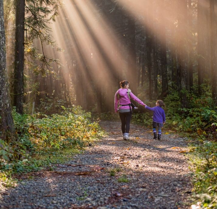 How Can You Heal Attachment Trauma in Children?