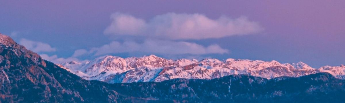 banner image