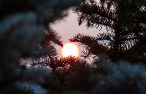 sun winter blues