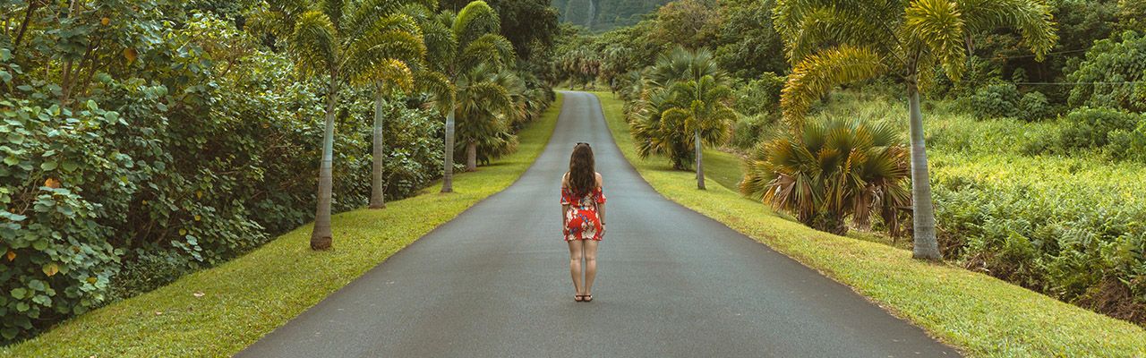 banner image