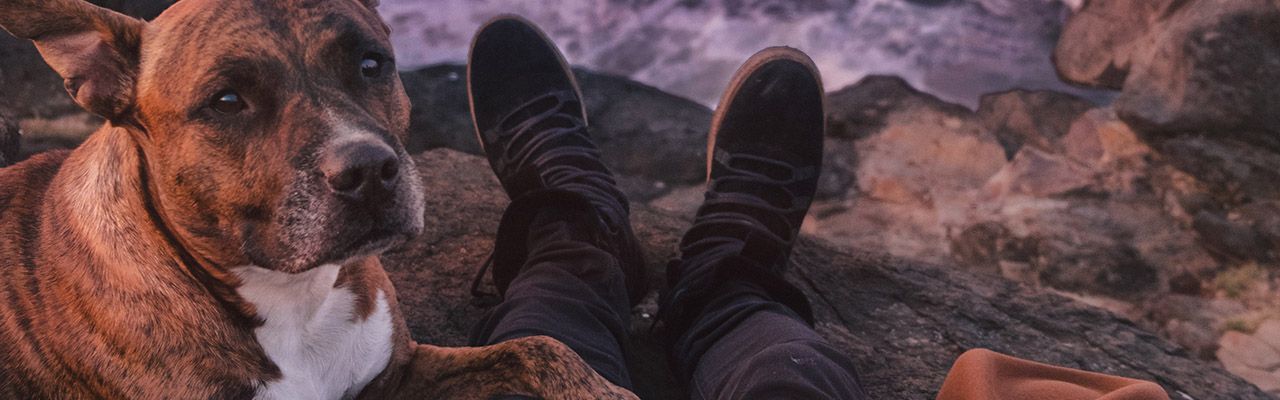 banner image