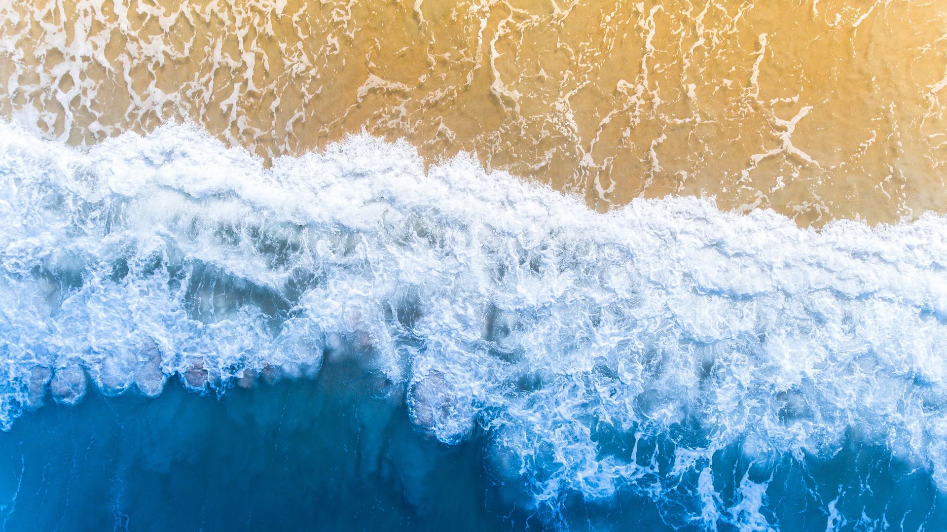 banner image