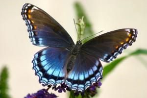 Therapy for Women:  How to Relieve Stress
