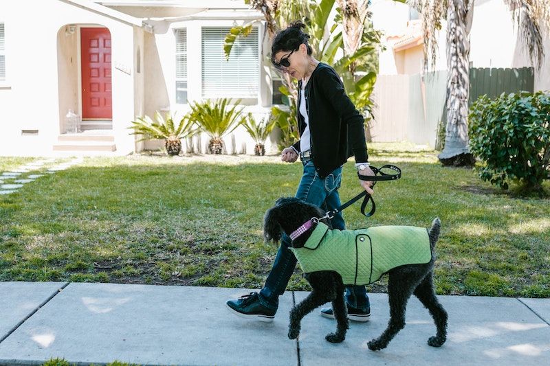 Benefits of Therapy Dogs