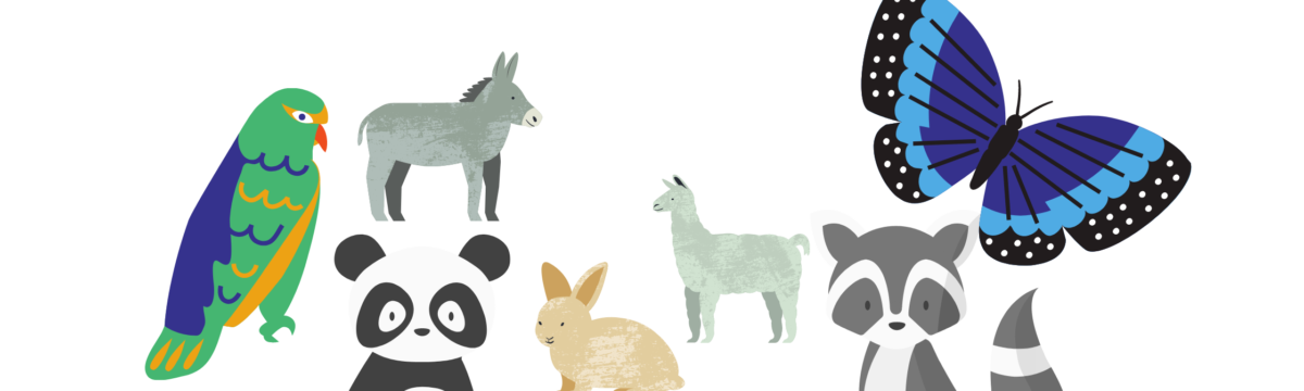 banner image