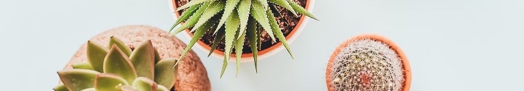 banner image