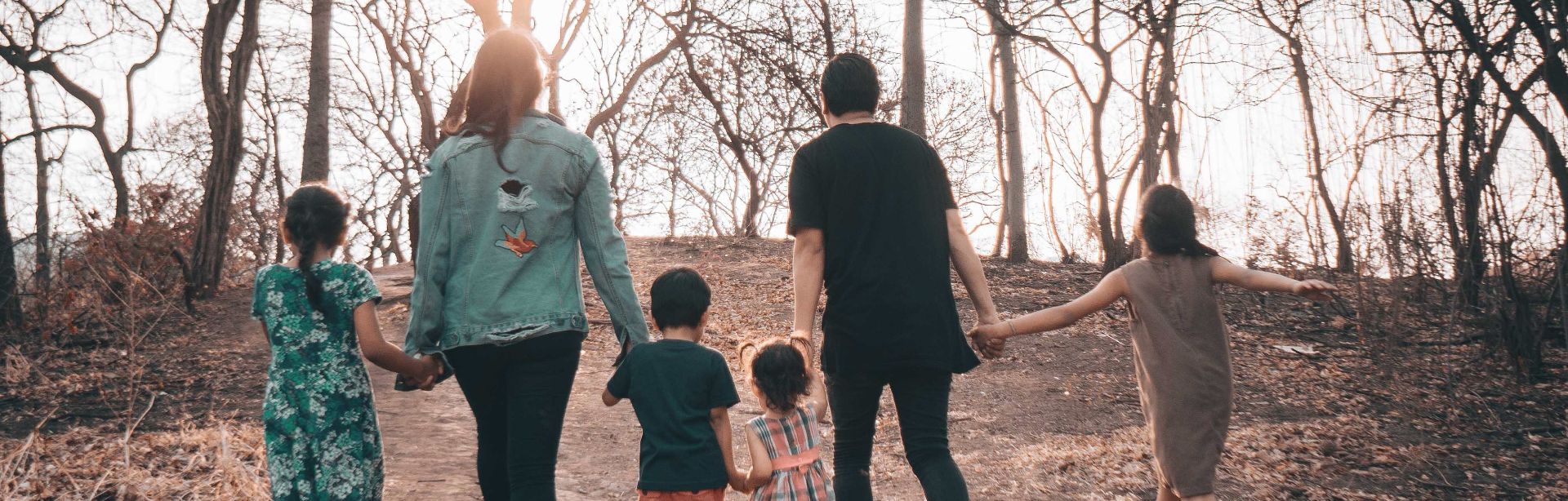 banner image