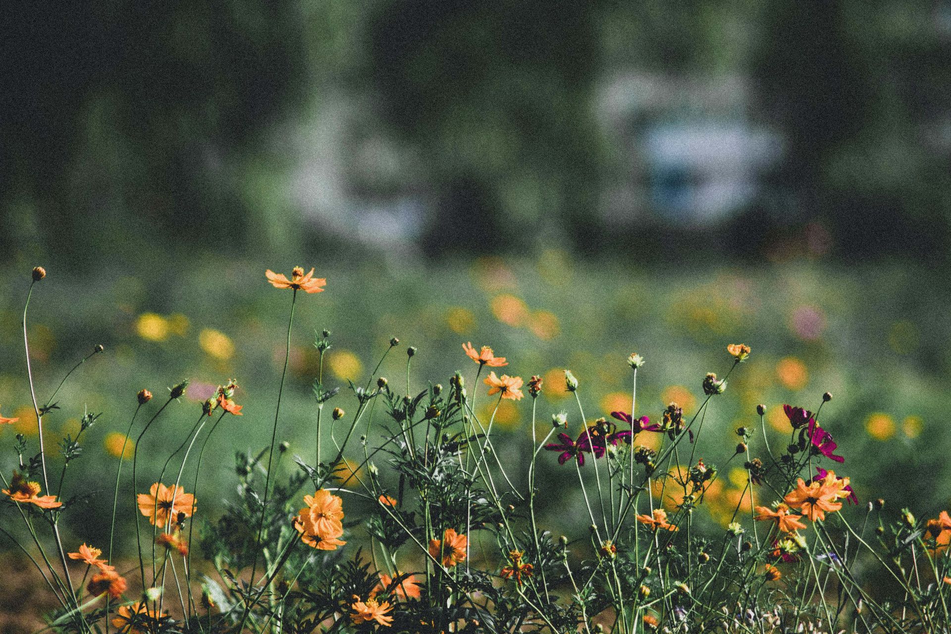 How Anxiety Therapy Can Help You Feel More in Control